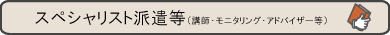 �X�y�V�����X�g�h�����i�u�t�E���j�^�����O�E�A�h�o�C�U�[���j